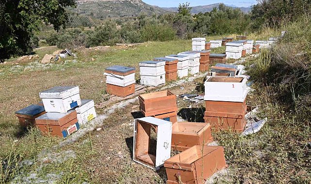 Antalya'da fırtına ve dolu tarım alanlarını vurdu