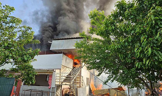 Antalya'da iki yayla evi alevlere teslim oldu