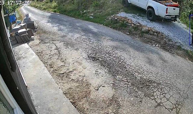 Antalya'da kedi köpek oteline silahlı ve uçan tekmeli saldırı