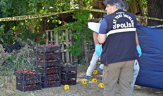 Antalya'da korkunç cinayet: Müşterilerine çilek satarken silahlı saldırıya uğradı