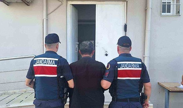 Aranan hayvan hırsızı, jandarmanın operasyonuyla yakalandı