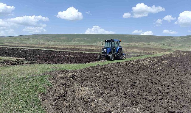 Ardahan&#039;da ata tohumu buğday ve arpa tohumları toprakla buluşturuluyor