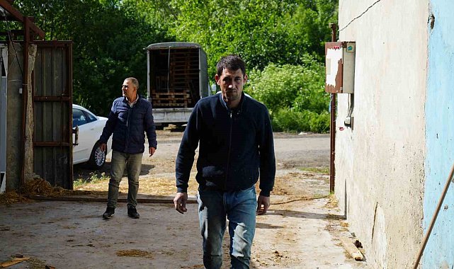 Arnavutköy'de kaybolan 13 koyunu polis ekipleri bularak sahibine teslim etti