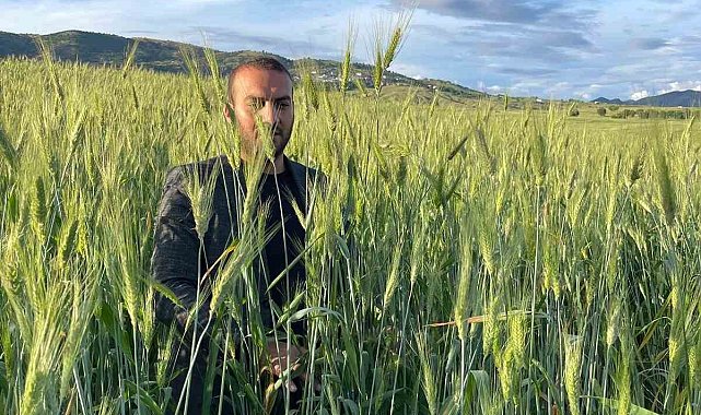Ata tohumu çiftçinin yüzünü güldürüyor