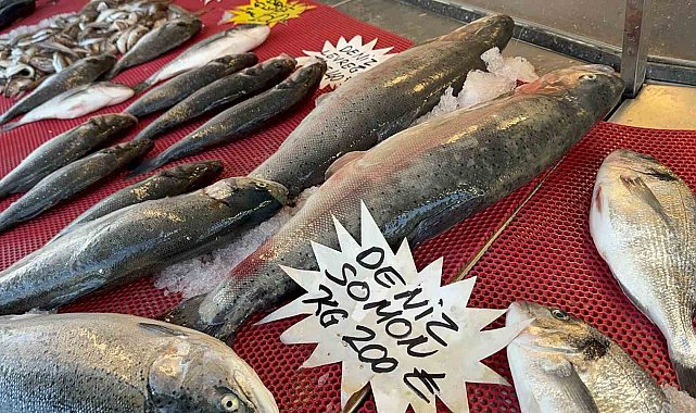 Avlanma yasağı olsa da tezgahlar balık çeşitleriyle dolu