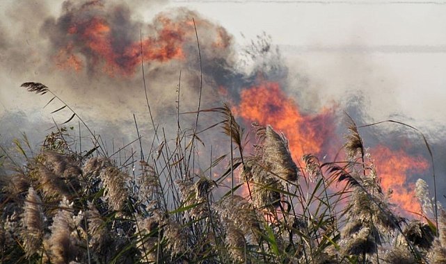 Aydınlı çiftçiler anız yakımına karşı uyarıldı