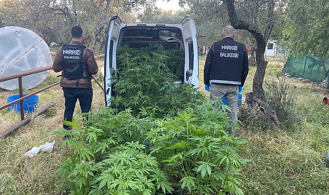 Ayvalık'ta polisten uyuşturucu operasyonu