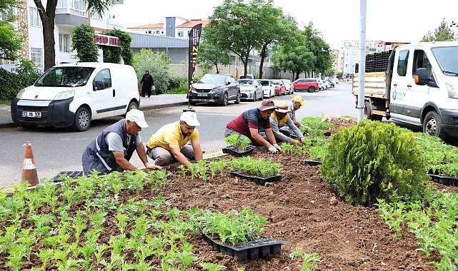Bağlar'da refüjlere kadife çiçekleri dikildi