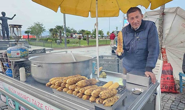 Bandırma'da süt mısırı tezgâhlarda yerini aldı