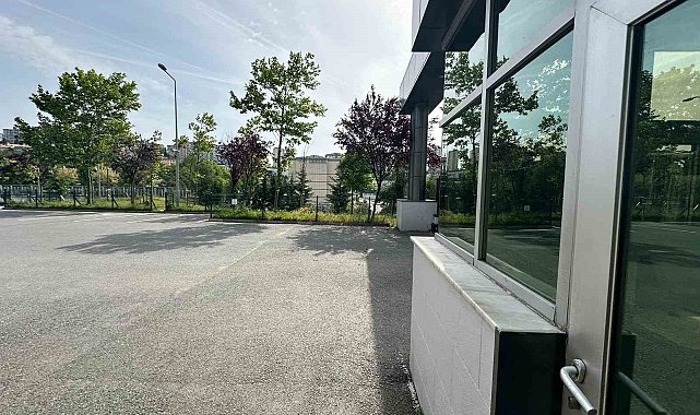 Başakşehir'de ilkokul bahçesinde beslenen köpekler 11 yaşındaki öğrenciye saldırdı