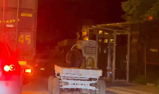 Başıboş at arabası şehir turu attı, görenler şaştı kaldı