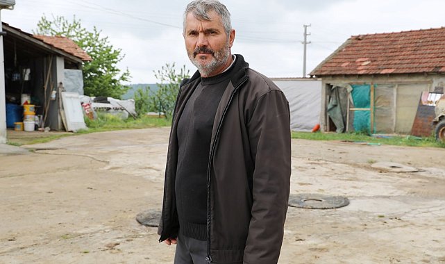 Başıboş köpekler, 60'dan fazla tavuk ve ördek yavrusunu telef etti