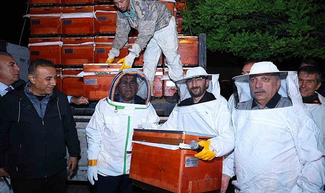 Başkan Büyükkılıç 10 milyon TL&#039;lik 2 bin arılı kovanı şafak vakti üreticilere dağıttı