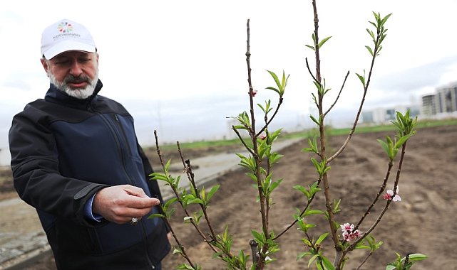 Başkan Çolakbayrakdar: "Kayseri'nin ilk meyve bahçeli parkı ile çocuklar dalından meyve yeme imkanı bulacak"