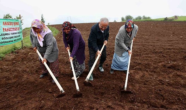 Başkan Güler: "Akkuş Fasulyesine Avrupa Birliği coğrafi işaret almak için çalışmalar yapılıyor"