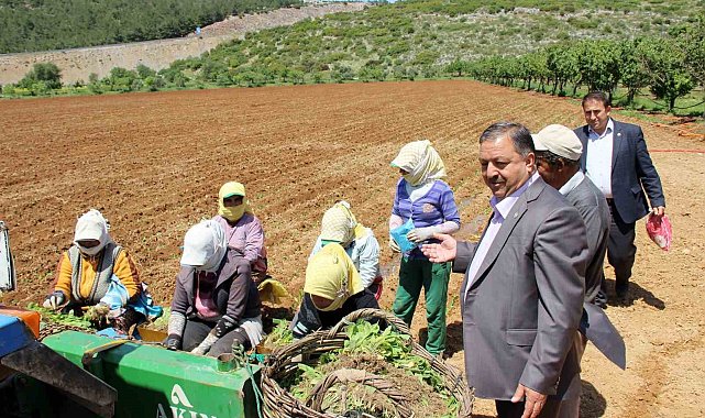 Baştuğ'dan 'Çiftçiler Günü' mesajı