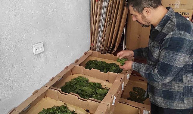 Batman'da unutulmaya yüz tutan mesleklerden ipek böcekçiliği yeniden canlandırılıyor