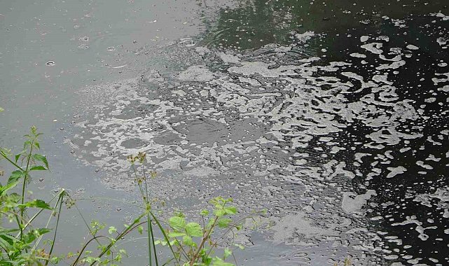 Beykoz'daki Riva Deresi kirle kaplandı: Suyunda pislik yüzüyor