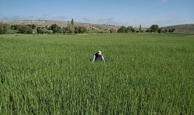 Beyşehir'de meyve bahçeleri sıkı takipte
