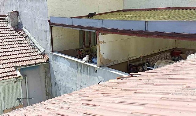 Bir haftadır çatıda olan kedi kurtarılmayı bekliyor