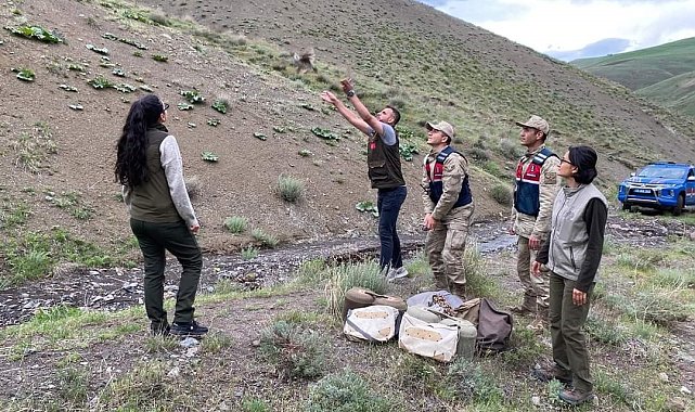 Bitlis'te keklik avlayan 2 kişiye 50 bin 824 lira para cezası uygulandı