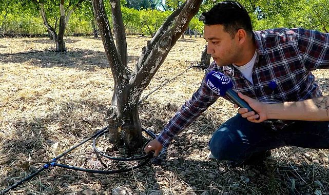 Bodrum'da tarımsal üretimde su tasarrufu