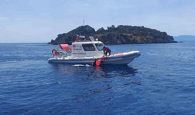 Bodrum'dan Yunanistan'a yüzmeye çalıştı