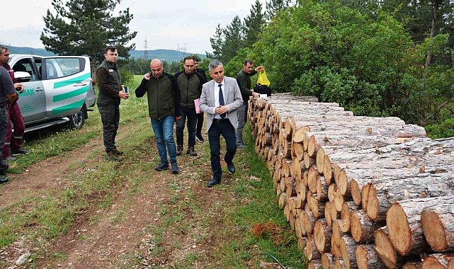 Bölge Müdürü Erdal Dingil, Tavşanlı ve Simav'da incelemelerde bulundu