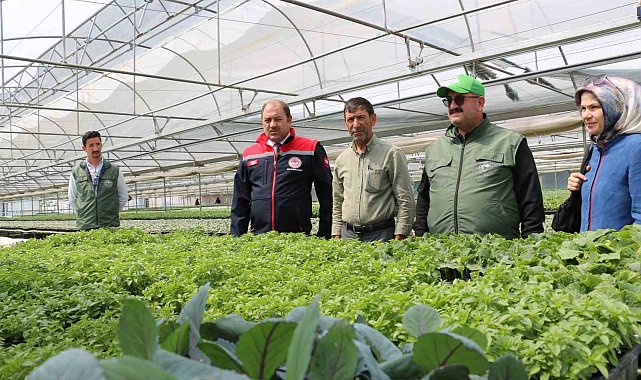 Bölgenin fidesi Erzincan'dan