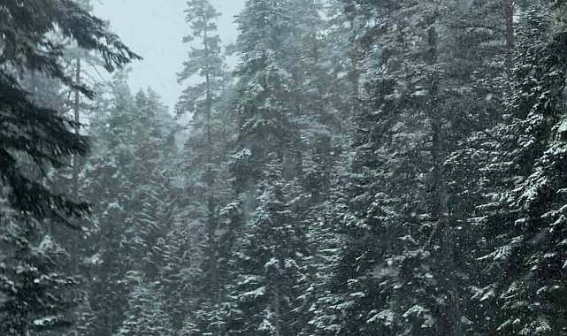 Bolu'da mayıs ayının ortasında kar yağdı