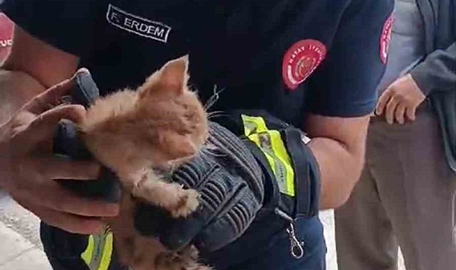 Boruya sıkışan yavru kedi, itfaiye ekipleri tarafından kurtarıldı
