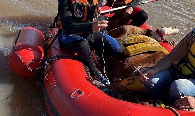 Brezilya'daki sel felaketinde ölü sayısı 113'e yükseldi