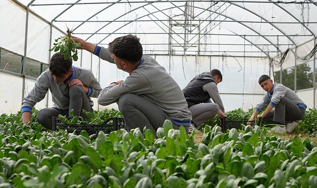 Bu lisede hem üretim hem eğitim yapılıyor