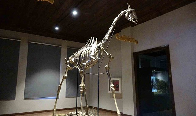 Bu müze ziyaretçilerini 8,5 milyon yıl öncesine götürüyor