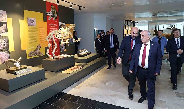 Bu müzede 250 bin böcek ve 20 bin kurutulmuş bitki örneği sergileniyor