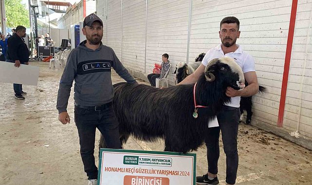 Burdur'da teke ve koçların güzellik yarışması renkli görüntülere sahne oldu