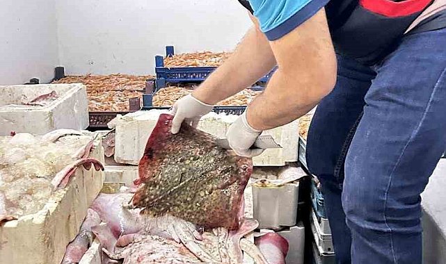 Bursa'da kaçak avcılara geçit yok