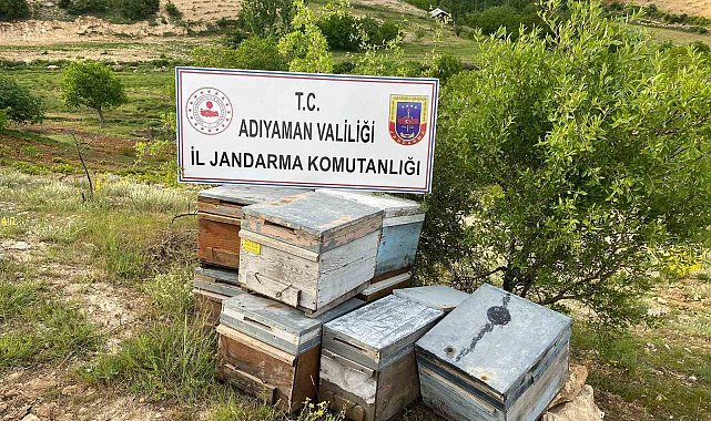 Çalınan arı kovanları jandarma tarafından bulundu