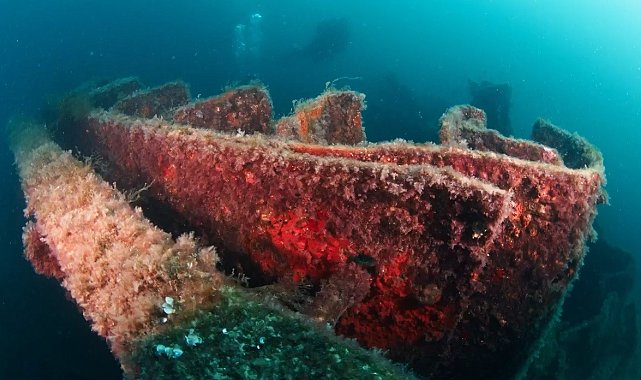 Çanakkale Savaşları'ndan kalma 109 yıllık batıkları su altı fotoğrafçısı Alex Dawson görüntüledi