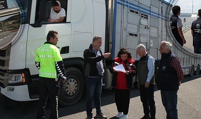 Çanakkale'de canlı hayvan nakil araçları kontrolleri sıklaştırıldı
