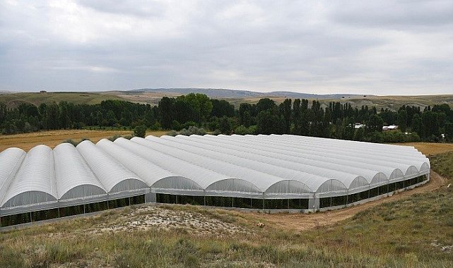 Çankırı'da 50,8 milyon TL'lik tarımsal yatırım yapılacak