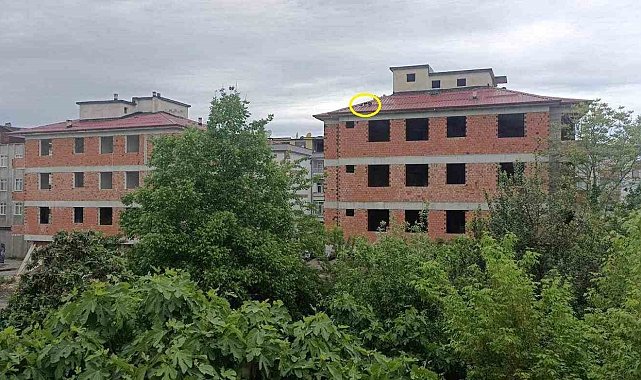 Çatıda mahsur kalan köpek kurtarıldı