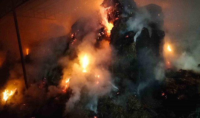 Çiftlikte çıkan yangında yaklaşık 100 ton saman küle döndü