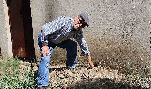 Defineciler, Yaşar Dede'nin uykularını kaçırdı