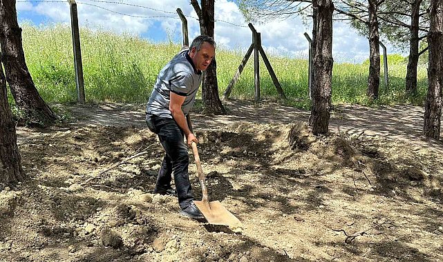 Definecilerin talan ettiği şehit mezarlığı ve çevresine mahalleli sahip çıktı