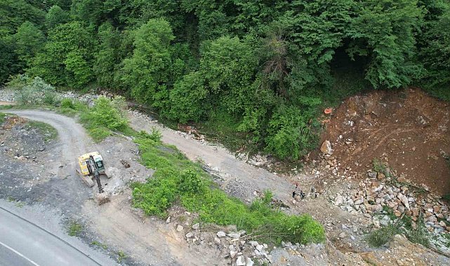 Dere ıslahı çalışmasında bin 183 yaşındaki porsuk ağacını kökünden kestiler