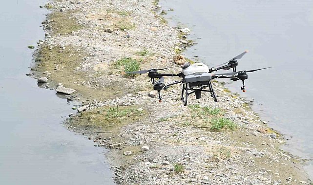 Dereler dron ile ilaçlandı