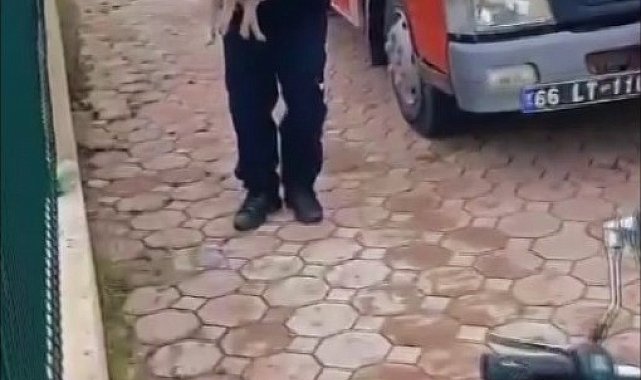Dereye düşen yavru köpek için itfaiye seferber oldu