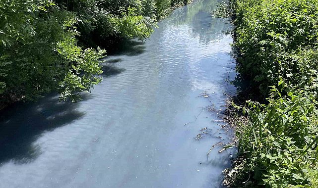 Dereyi kirlettiği iddia edilen fabrikaya savcılıktan soruşturma