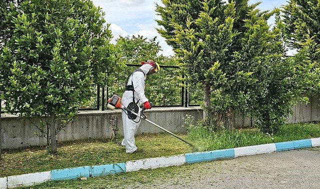 Dilovası'nda yaz temizliği başladı